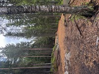 2025-05-26 11.53.03.jpg