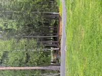 2025-05-26 11.55.32.jpg