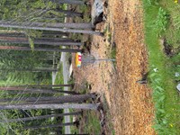 2025-05-26 11.56.00.jpg