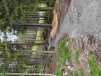 2025-05-26 11.55.13.jpg