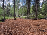 2025-05-26 11.54.26.jpg