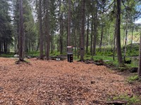 2025-05-26 11.53.51.jpg