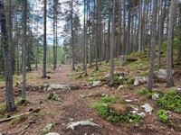 2025-05-26 11.57.59.jpg