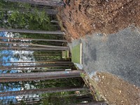 2025-05-26 12.00.09.jpg