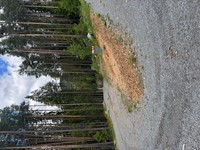 2025-05-26 11.59.41.jpg