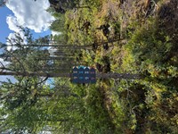 2025-05-26 12.07.16.jpg