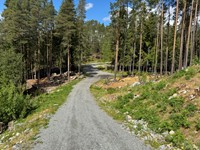 2025-05-26 12.09.08.jpg