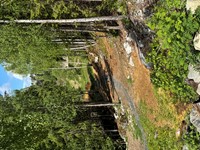 2025-05-26 12.08.05.jpg