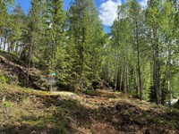 2025-05-26 12.10.48.jpg