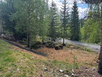 2025-05-26 12.21.12.jpg